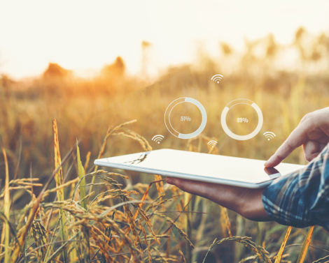 Occitanum, le Living Lab qui met le numérique au service de la transition agro-écologique