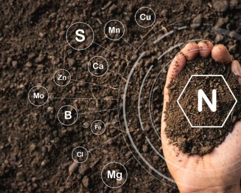 Identifier des systèmes de culture à faibles pertes d’azote grâce au diagnostic avec l’outil Syst’N®