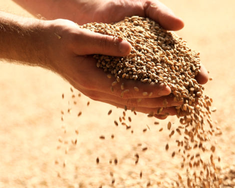 Comment maîtriser et limiter les contaminations de la chaîne alimentaire ?