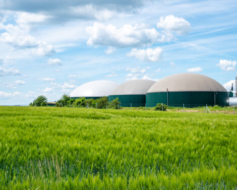 Fertiliser avec les digestats de méthanisation agricole