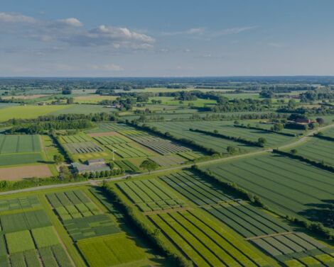 Un réseau d’expérimentation pour tester la réduction de l’usage des produits phytosanitaires