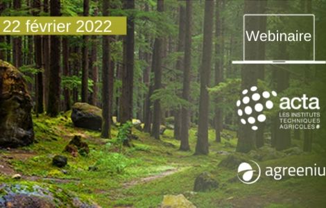[AGROWEBINAIRE] Impacts du changement climatique sur les forêts