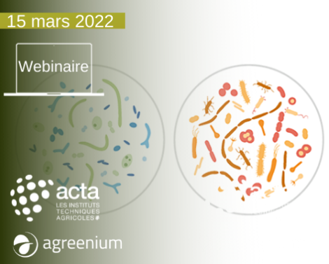 [AGROWEBINAIRE] Le rôle du microbiote (du sol à l’intestin) pour la santé globale