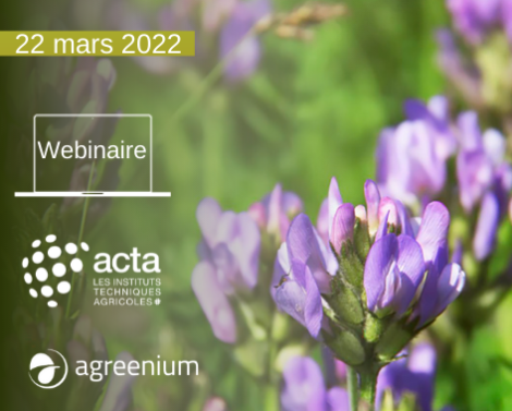 [AGROWEBINAIRE] Autonomie protéique à l’échelle de l’exploitation et des territoires