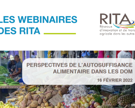 Webinaire RITA – « Perspectives de l&rsquo;autosuffisance alimentaire dans les DOM »