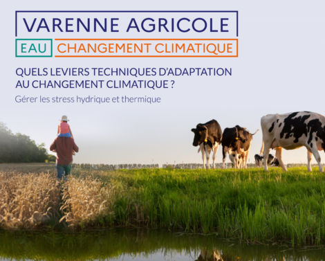 Les leviers techniques d&rsquo;adaptation aux stress hydrique et thermique