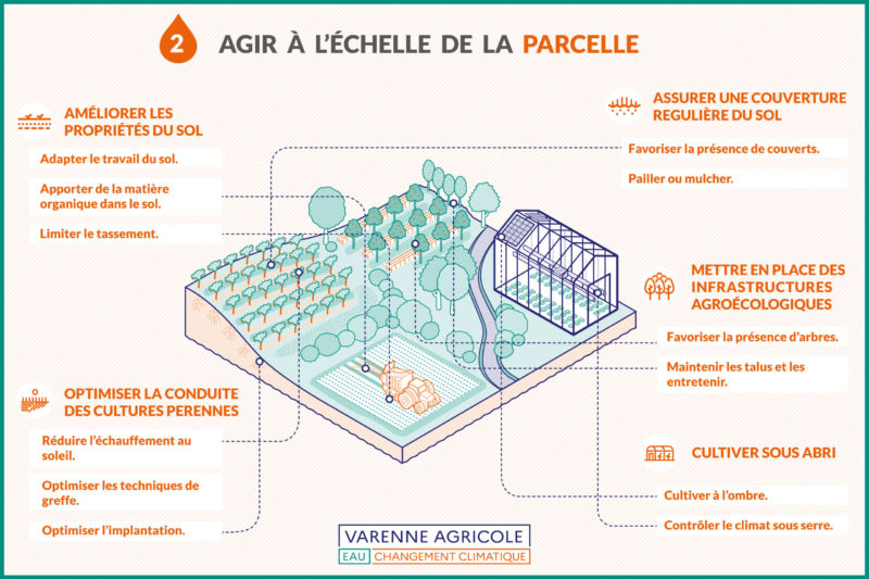parcelle parcelle
