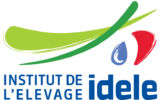 New logo idele IMP 1 New logo idele IMP 1