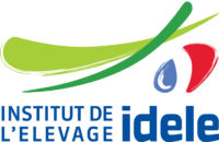 New logo idele IMP 1 New logo idele IMP 1