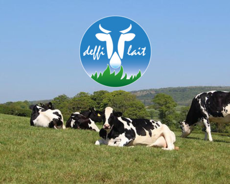 Des stratégies améliorant l&rsquo;efficience alimentaire des vaches laitières