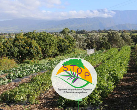Des systèmes de production tropicaux sans pesticide de synthèse