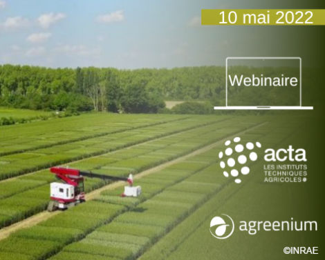 [AGROWEBINAIRE] Évolution des critères de sélection génétique en grandes cultures