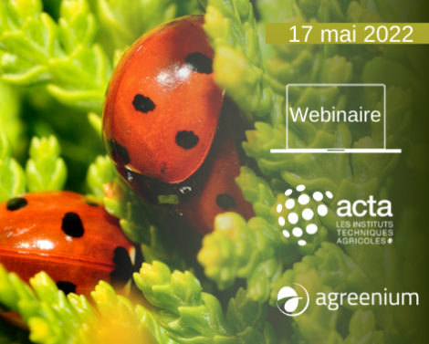 [AGROWEBINAIRE] Connaître la biodiversité pour développer des solutions de lutte biologique