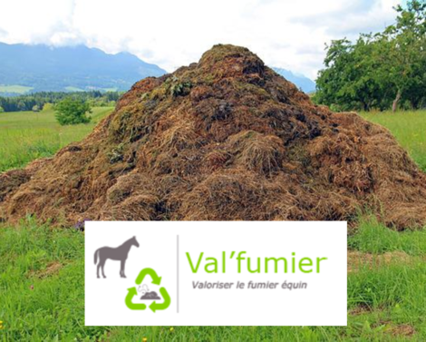 Valorisation de fumier de cheval par la méthanisation