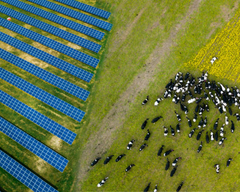 L’agrivoltaïsme : utopie ou opportunité ? Les agriculteurs témoignent