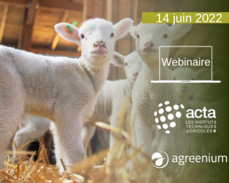 [AGROWEBINAIRE] Diversité génétique et santé globale en production animale