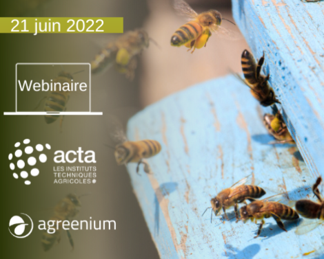 Apiculture & pollinisateurs face au changement climatique