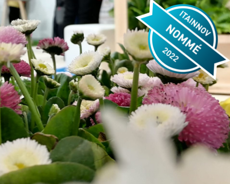 Préférences d’achat des consommateurs en horticulture