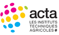 Acta