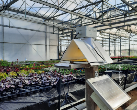 Piège connecté avec intelligence artificielle dans la filière horticole