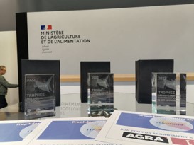 Édition spéciale ITAINNOV : revivre les temps forts du concours