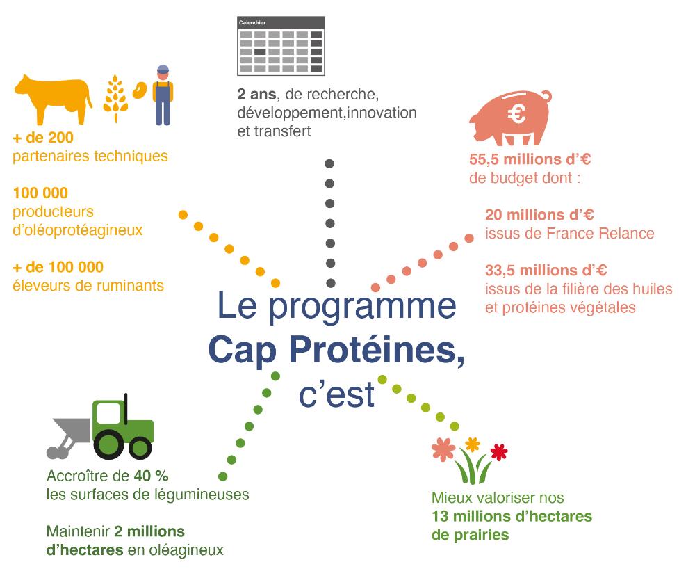 Schema-Cap-Proteines_2