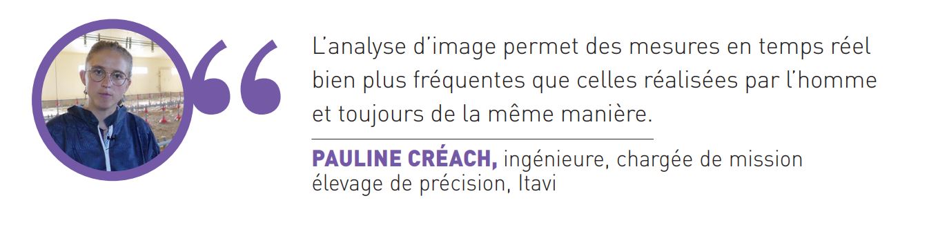 Témoignage Pauline Créach Analyser le bien-être des poulets d’élevage de chair