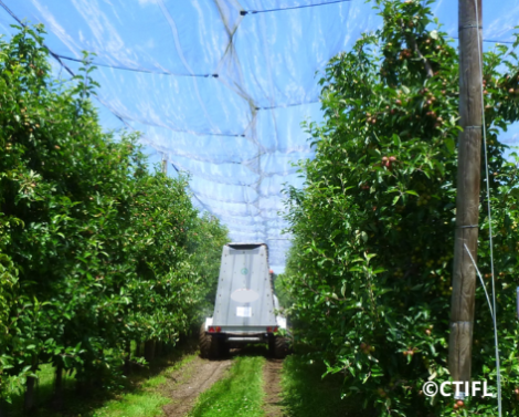 Projet PulvArbo : optimiser la pulvérisation en arboriculture fruitière