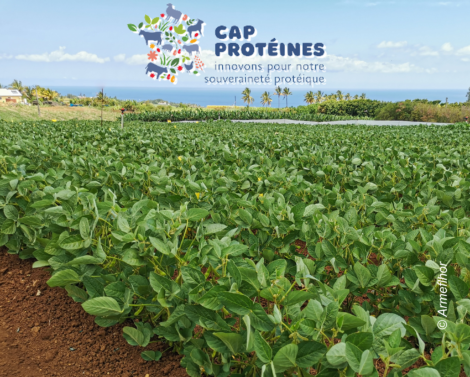 Cap Protéines dans les Outre-mer : des collaborations inter-ITA fructueuses