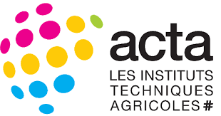 logo acta