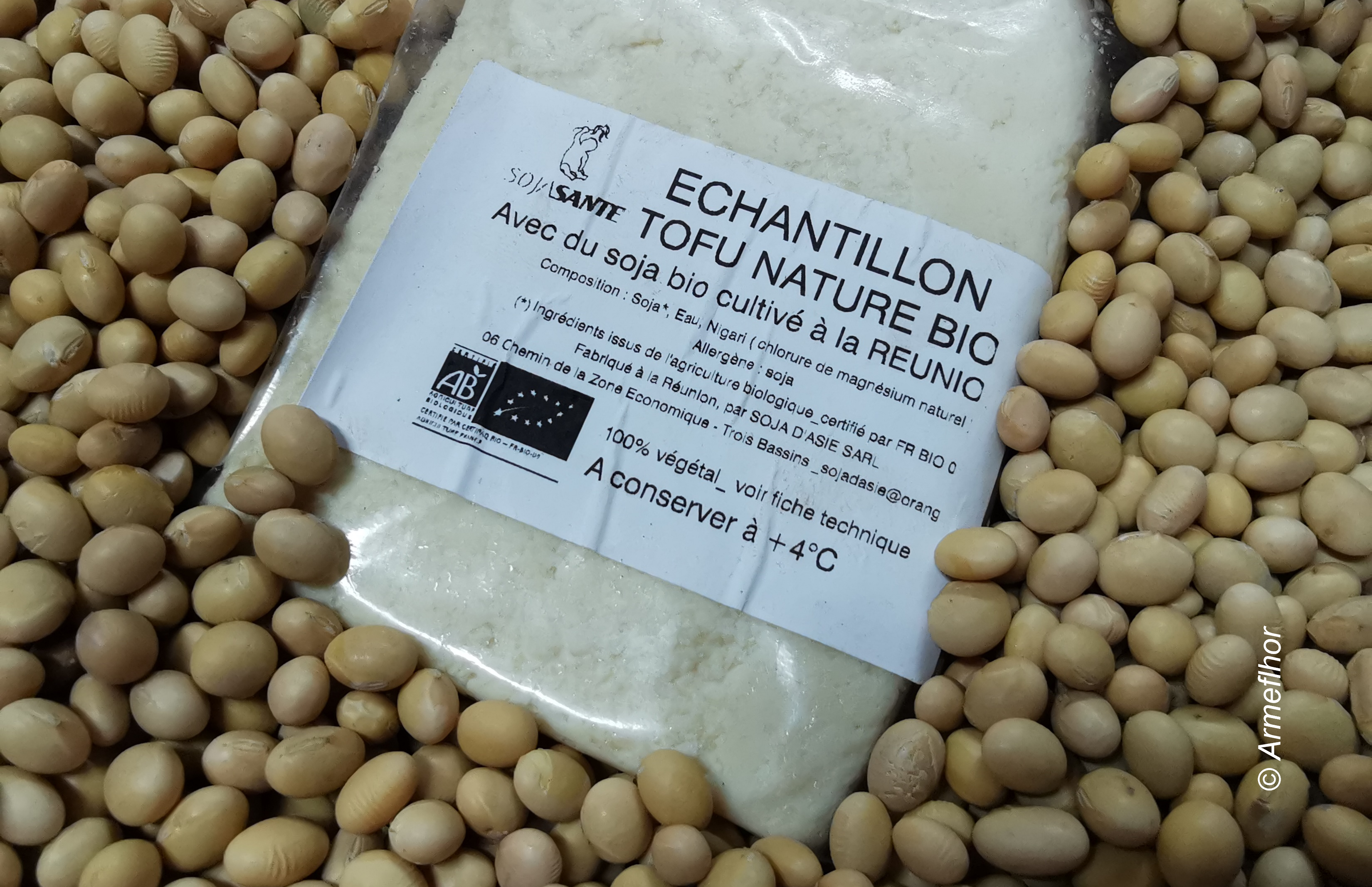 tofu soja bio la réunion cap protéines tofu soja bio la réunion