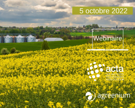 [AGROWEBINAIRE] La bioéconomie favorise-t-elle la durabilité des filières alimentaires ?
