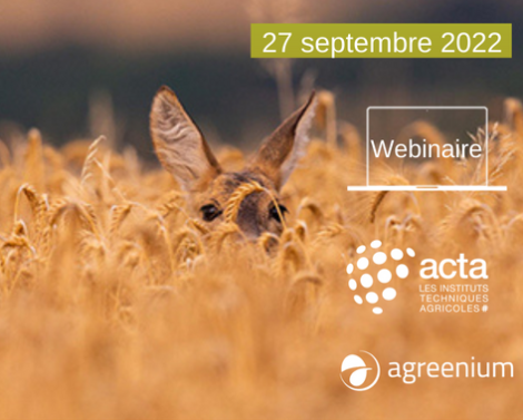 [AGROWEBINAIRE] La biodiversité sauvage dans les milieux agricoles