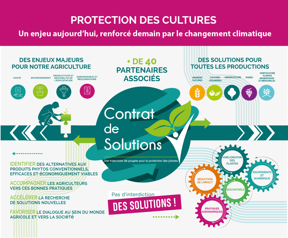 Bache_dmarche_A0 contrat solutions