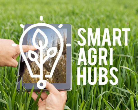 Accroître la compétitivité et la durabilité du secteur agricole et alimentaire en Europe