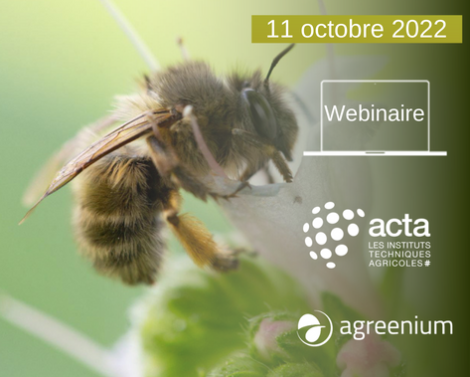 [AGROWEBINAIRE] Comment mesurer les services écosystémiques ?
