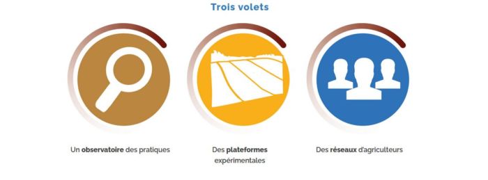 Syppre trois volets
