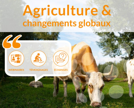 L’Élevage de ruminants au cœur de la controverse