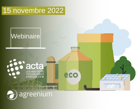 [AGROWEBINAIRE] Alimentation, carburants, biomatériaux : concurrence ou complémentarité ?
