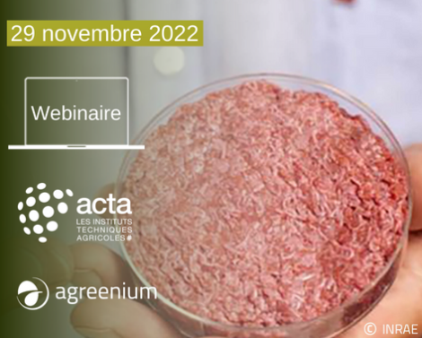 [AGROWEBINAIRE] L’agriculture cellulaire : intérêts, risques, limites