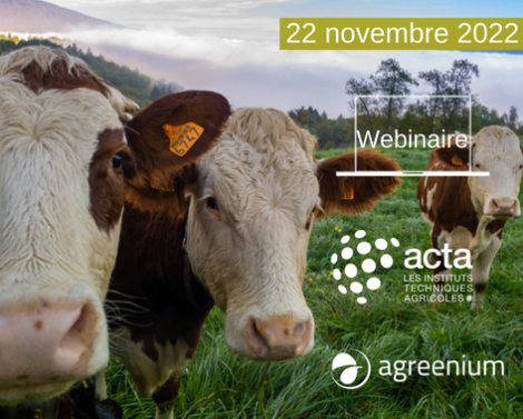 [AGROWEBINAIRE] La biodiversité des ruminants en élevage