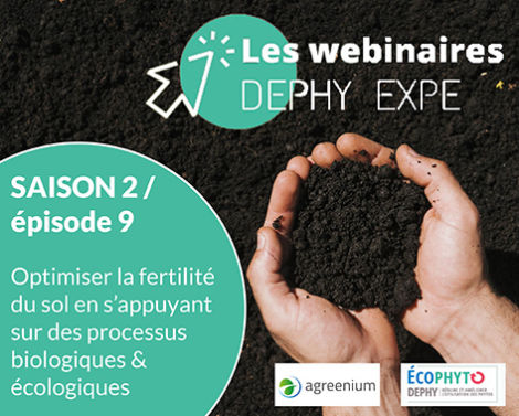 Webinaire DEPHY EXPE : Optimiser la fertilité du sol en s&rsquo;appuyant sur des processus biologiques et écologiques