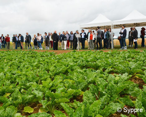 6 webinaires pour découvrir les derniers résultats du projet Syppre