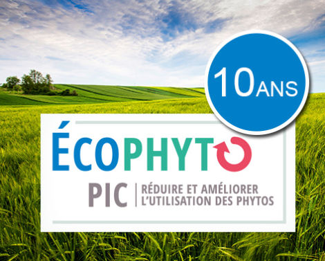 Le Portail ÉcophytoPIC fête ses 10 ans
