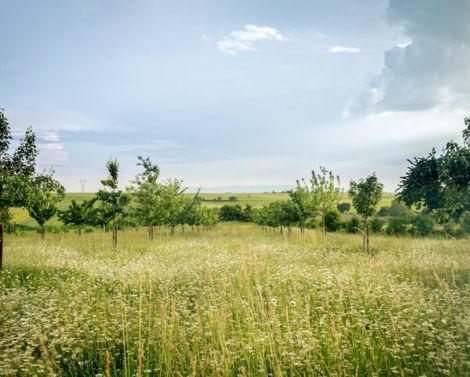 Biodiversité et agriculture, les enseignements clés de 6 ans de travaux
