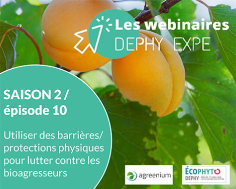 Webinaire DEPHY EXPE : Utiliser des barrières/protections physiques pour lutter contre les bioagresseurs