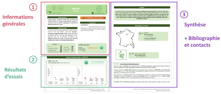 centre de ressources Cuivre