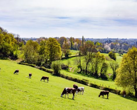 Les ITA qualifiés par le ministère en charge de l’agriculture pour une période de 5 ans (2023-2027)