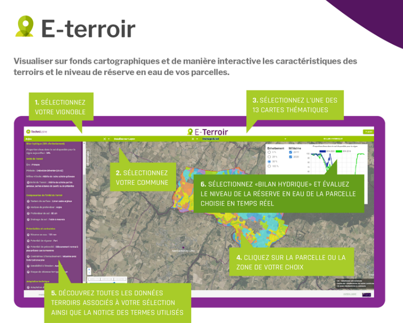 E-terroir