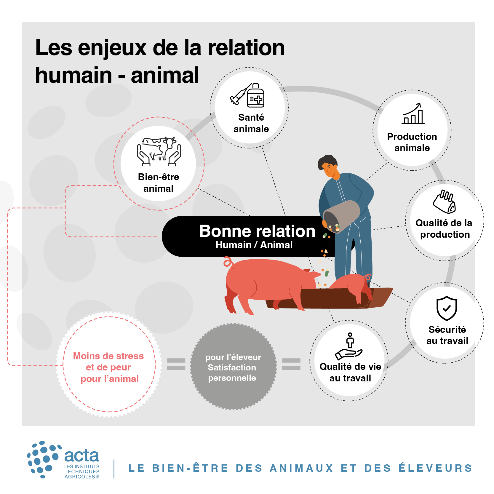 enjeux relation humain-animal enjeux relation humain-animal